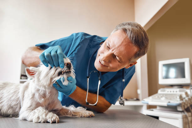 Best Emergency Broken Tooth Repair in Lebanon, VA